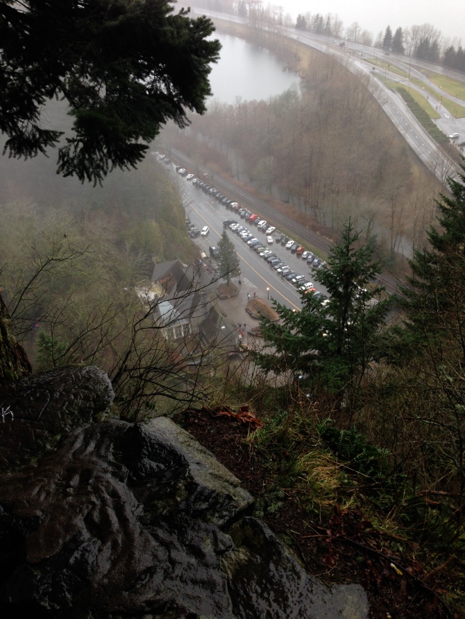 This shot was taken at the second of 11 steep, but paved switchbacks to the falls overlook. 
